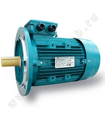 Электродвигатель ESQ 400MA2-SDN-355/3000